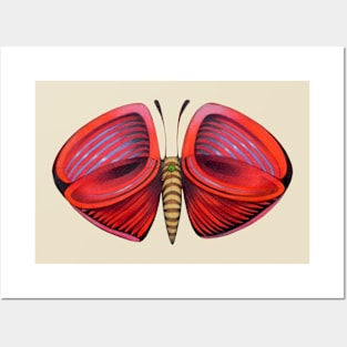 red little butterfly Posters and Art